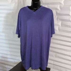 Only Necessities Women’s V-Neck T-Shirt Size Large Purple Short Sleeve Tee Top